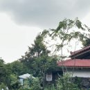 자연과 사람들 이미지