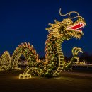 엑스포과학공원 버스정류장 | 2025 유성 국화축제: 일정, 장소, 가는 법 완벽 정리 (인생샷 필수)