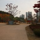 청계중앙공원 매장문화재 유적 이미지