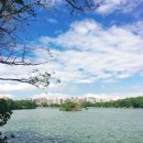 864007 | 후쿠오카 :: 여행 준비하기 / 비짓재팬 / 후쿠오카 항공권 가격 / 후쿠오카 3인 숙소 / 유후인 버스투어...