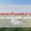 내돈내산 제주스냅 후기2(섬사진관, 제주디샵, 늘꽃사랑)