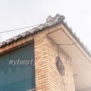 포승향남로 이미지