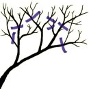 가지치기 - 중요성 - pruning study -2 이미지