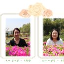 노틀담어린이집 이미지