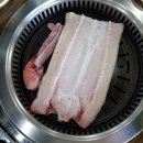 효효그루밍 이미지