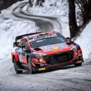 하이브리 이미지