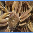 영해시장 공영주차장 내 이미지