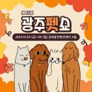 펫마켓 서구점 | 펫과 함께하는 가을 나들이: 김대중컨벤션센터 펫크닉 &amp; 펫쇼, 맥주 축제 후기