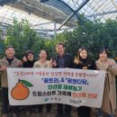 트리앤팜 이미지