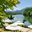 빵먹는 강아지 | “서울 근교에 이런 애견카페 또 있어?!” 강아지랑 북한강 산책하고 소금빵 먹는 가평 자잠157 후기🐾