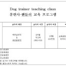 애견훈련사 · 핸들러 교육 프로그램 이미지