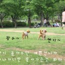 부평공원 이미지