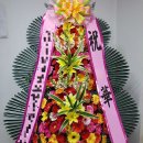 담쟁이화원 이미지
