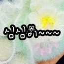 심심이(주) 이미지