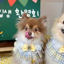 라포독
