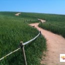 상희농장 이미지