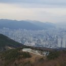 헤어쟁이 이미지