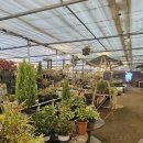 서창나무어린이집 | 인천 아이와 가볼만한 곳 인천동물체험 피크닉하우스 6살, 7살 후기