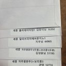 홀리,칼리브리아,자주꽃 이미지