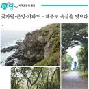 화순곶자왈 이미지