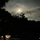 파피루스 캠핑장 | ⭐ 포천 파피루스캠핑장 솔직후기｜별빛·조용함·힐링까지 완벽했던 1박 2일