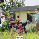 남면초등학교 양덕분교장 이미지