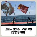 풍년참가자미 | 선상낚시 찐 추천 ㅣ [동해호]에서 가자미 폭풍 조황 + 대물 손맛 후기 ㅣ 초보도 마릿수 가능! ㅣ...