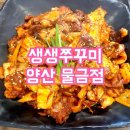 입맛 살아나는 점심 모임 생생쭈꾸미 양산물금점