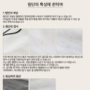 가리개&창 이미지