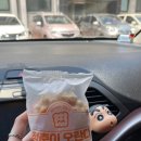 청춘이오란다 이미지