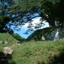 성보축산 이미지