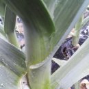 다락골농장 이미지