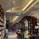 손기정문화도서관 | [서울역/충정로역] 감히 서울에서 가장 아름다운, '손기정문화도서관'📚 (위치·주차·대출 안내)