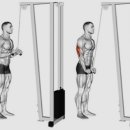 V10휘트니스 이미지