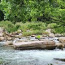 터골농원 이미지