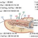 EDGE네일 이미지