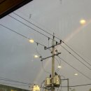 아지동물병원 | 11월은 당당하게 살기