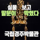 대가야밀면 - 양산시 북정14길 11 | 경주박물관 금관 경주국립박물관 도슨트 경주 가볼만한곳 국립경주박물관 신라관 천마총 금관 관람 후기