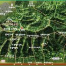 우면산5-10 Daum카페