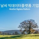 케이웨더주식회사