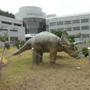 공룡박물관 이미지