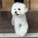 수원-0571 이미지