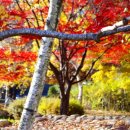 중앙공원(상) 이미지