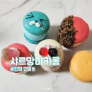 씨유진해안골마린점 | 창원마카롱 디저트샵 샤르망마카롱