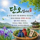 휴케라 이미지