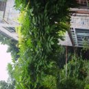 관문카센타 이미지