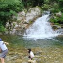 복주산자연휴양림 이미지