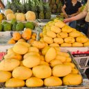 농협은행(주)괴산군지부 이미지