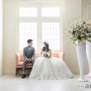 보기스튜디오