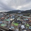 오천그린약국 네이버블로그